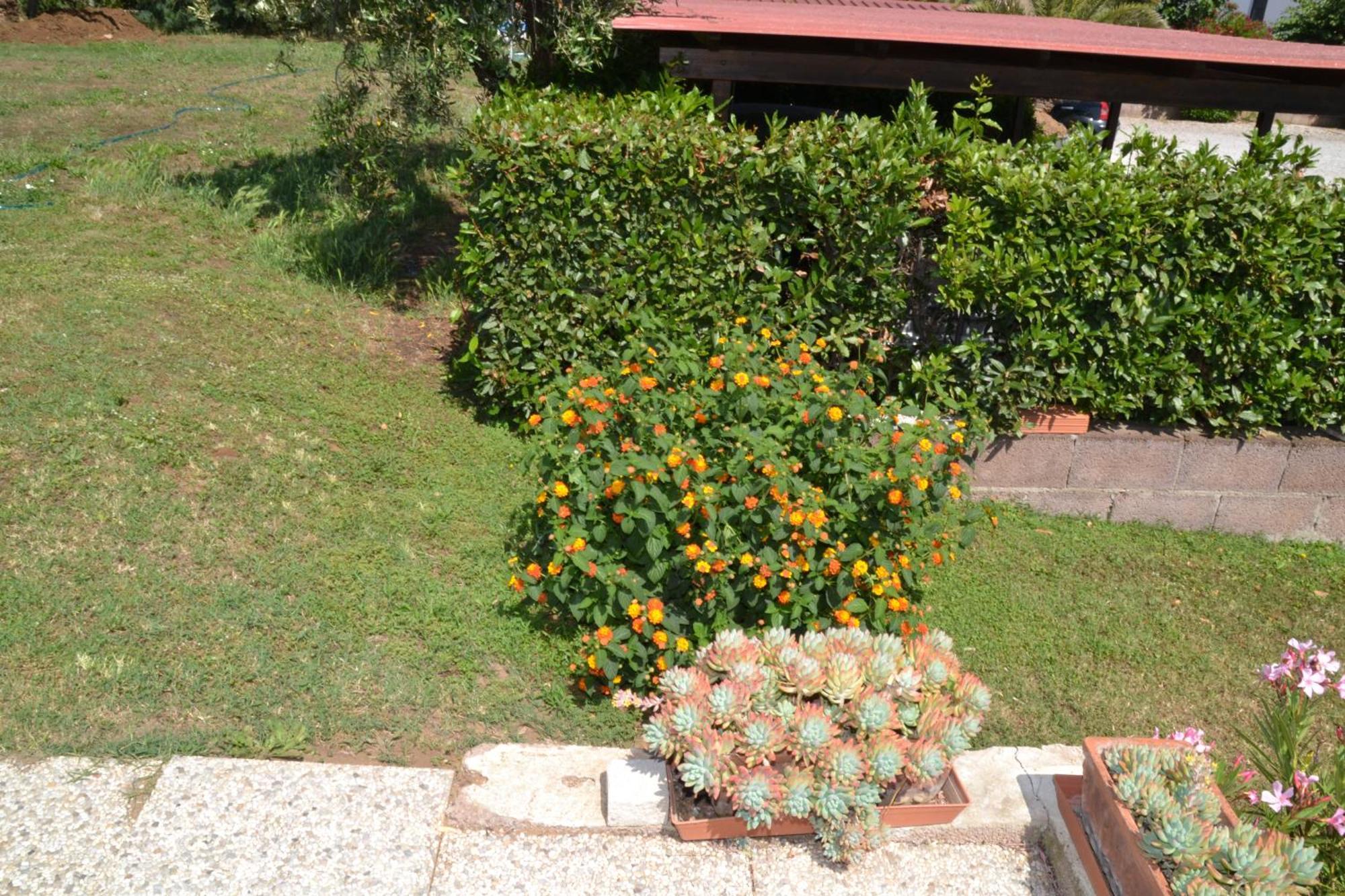 La Mimosa Hotel Bolgheri Exterior photo